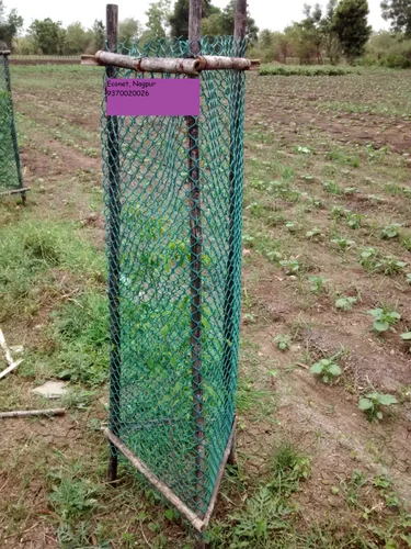 Research Biotica April